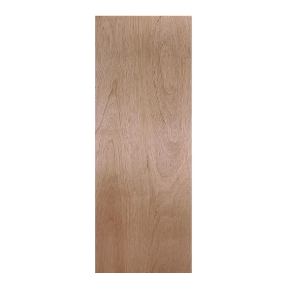 Lauan Flush Door Main image