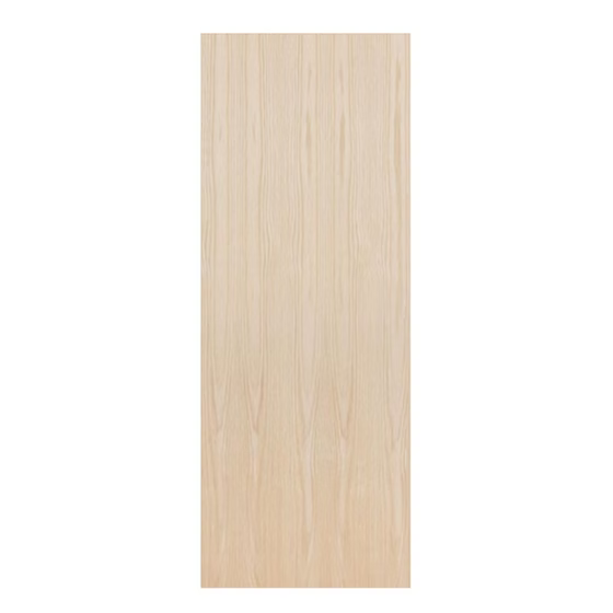 Birch Flush Door Main image