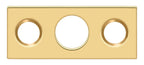 Deltana - Strike Plate For 7" Flush Bolt - Lifetime Brass